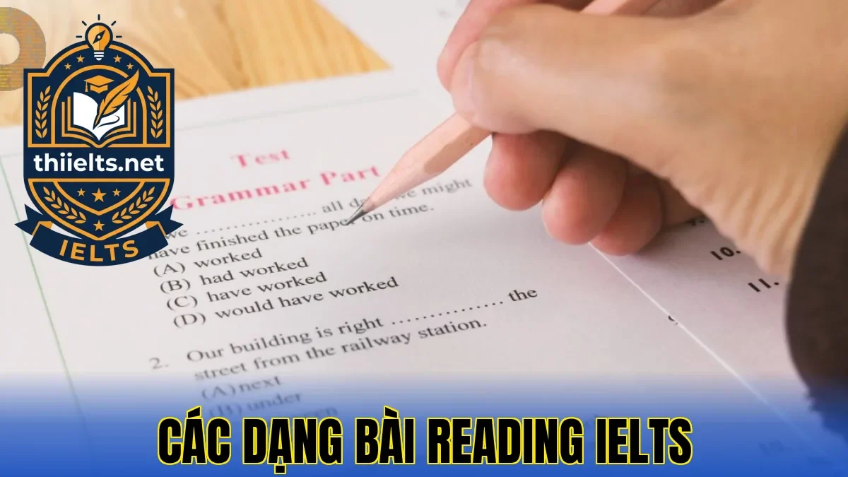 Các Dạng Bài Reading IELTS