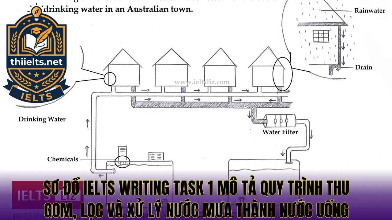 Sơ đồ IELTS Writing Task 1 mô tả quy trình thu gom, lọc và xử lý nước mưa thành nước uống