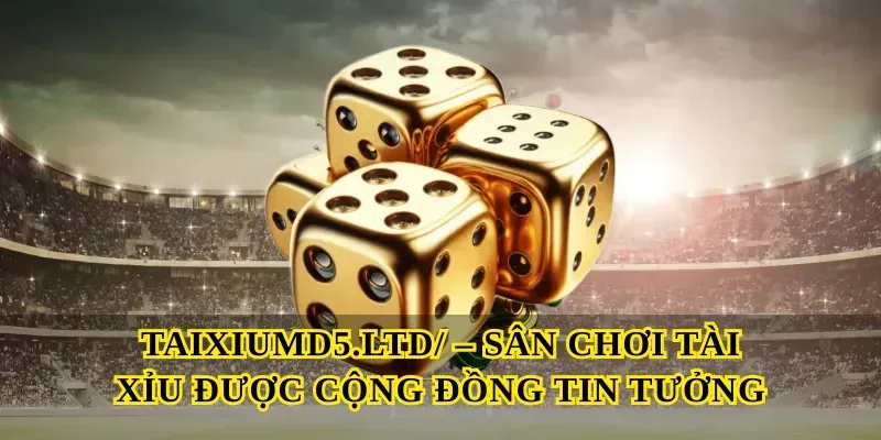 Taixiumd5.ltd/ – Sân Chơi Tài Xỉu Được Cộng Đồng Tin Tưởng